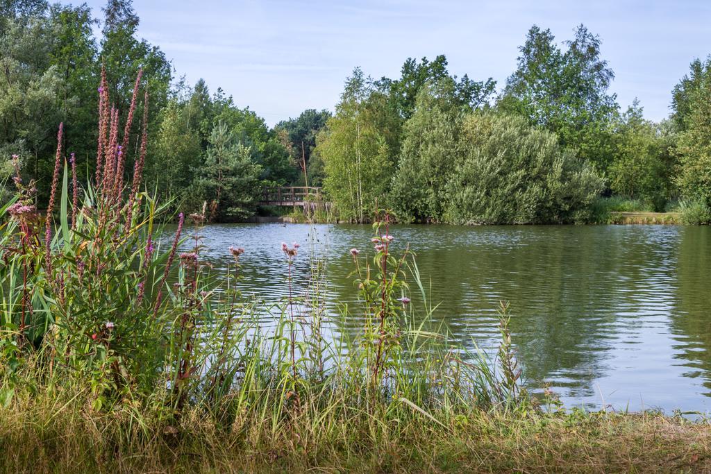 Oostappen Vakantiepark Zilverstrand Мол Экстерьер фото